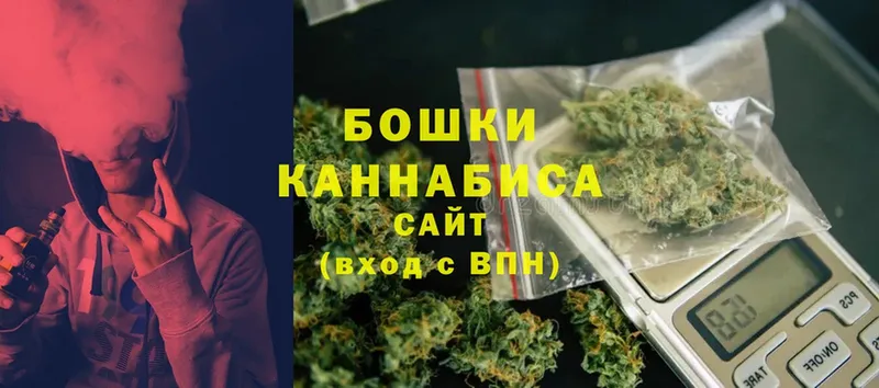 Каннабис White Widow  Макушино 